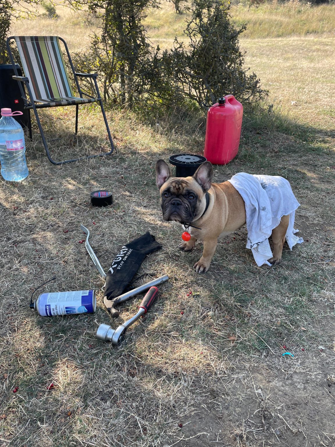 be79ae0f19770e6d9b8c6f8e0f8474a84ea6741b