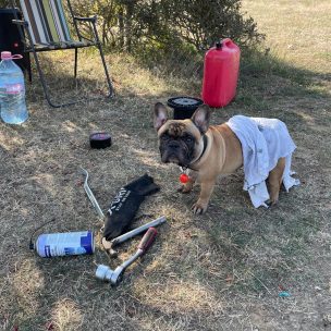 be79ae0f19770e6d9b8c6f8e0f8474a84ea6741b